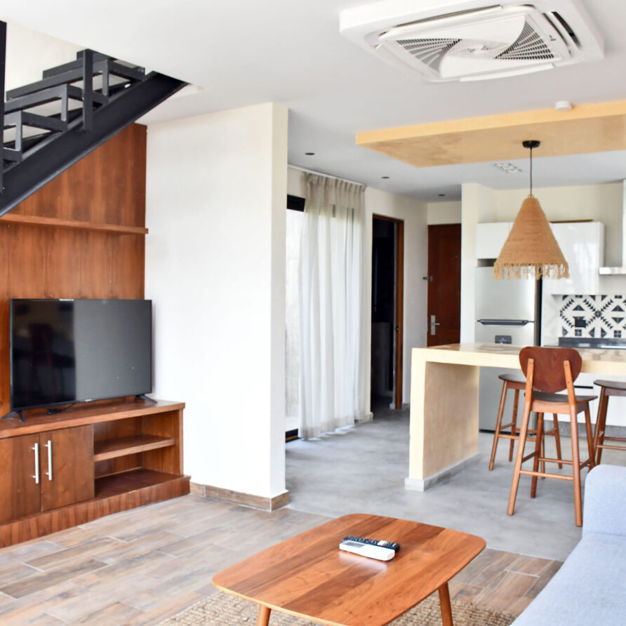 Luxury 2 Story 1 BR Apartment